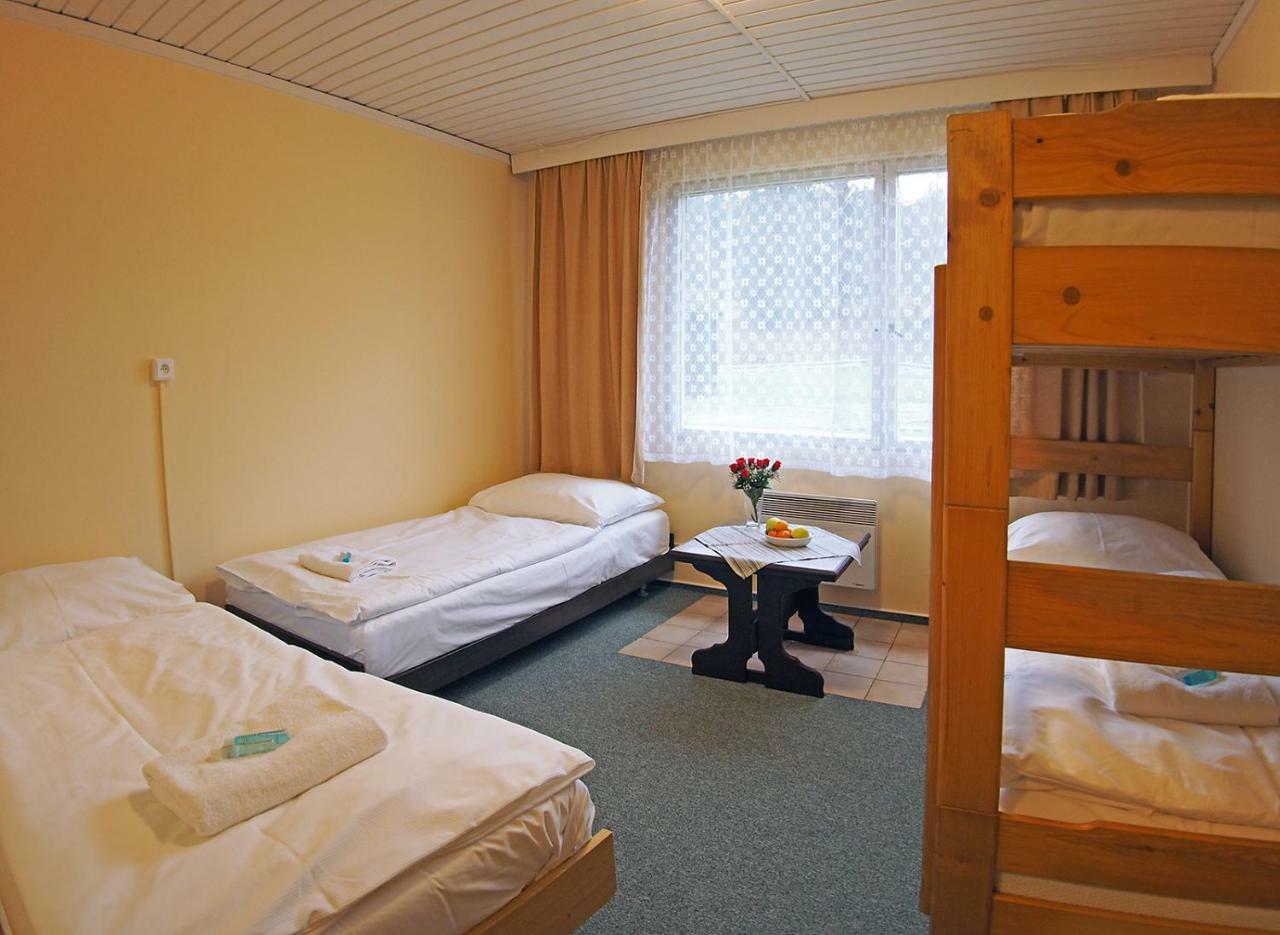 Pod Javorem Hotel Velké Karlovice Екстериор снимка