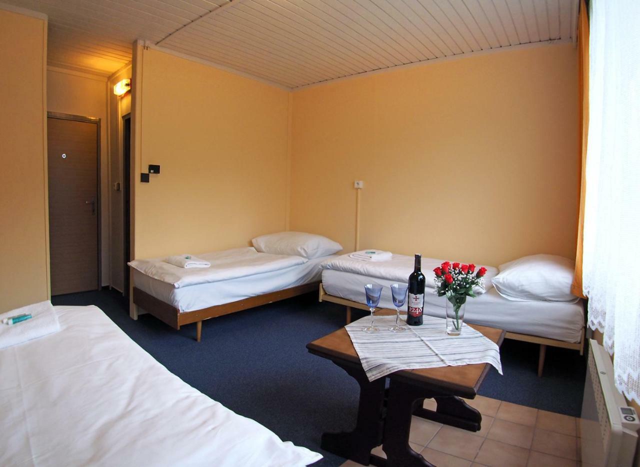Pod Javorem Hotel Velké Karlovice Екстериор снимка