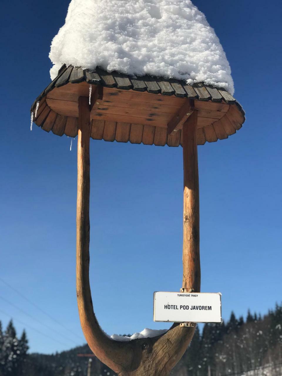 Pod Javorem Hotel Velké Karlovice Екстериор снимка